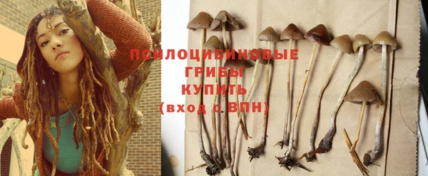 таблы Сосновка